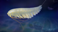 Life reconstruction of Lomankus edgecombei. Image credit: Xiaodong Wang.