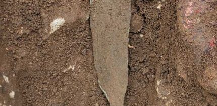 The 4,000-year-old copper dagger found in Tina Jama Cave, Italy. Image credit: Davide Bonaduce.