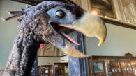 A model of Paraphysornis at the Natural History Museum Vienna. Image credit: Armin Reindl / CC BY-SA 4.0.