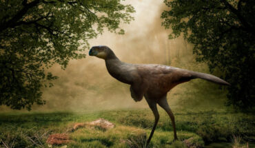 Life reconstruction of Yuanyanglong bainian. Image credit: Sci.News / Ddinodan.
