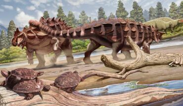 The artistic reconstruction of Huaxiazhoulong shouwen. Image credit: Ye Jianhao.