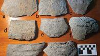 Incurved wall bowls from the sea-floor survey at Jay-yi Nah in Belize. Image credit: H. McKillop.