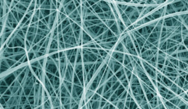 Britton et al. used a scanning electron microscope, scanning the mat with a focused beam of electrons and creating an image based on the pattern of electrons that are deflected or knocked-off; each individual strand is too narrow to be clearly captured by any form of visible light camera or microscope. Image credit: Beatrice Britton / Adam Clancy.