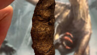 Fossil feces of the bone-crushing archosaur Smok, with a Smok reconstruction in the background. Image credit: Grzegorz Niedzwiedzki.