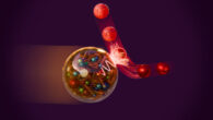 Data from past proton-electron collisions provide strong evidence of entanglement among the proton’s sea of quarks (spheres) and gluons (squiggles), which may play an important role in their strong-force interactions. Image credit: Valerie Lentz / Brookhaven National Laboratory.