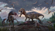 An Early Cretaceous floodplain in southeastern England, 135 million years ago: a spinosaur (center) takes over the carcass of an ornithopod, much to the annoyance of the smaller tyrannosaurs (left) and dromaeosaurids (bottom right). Image credit: Anthony Hutchings.