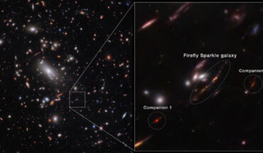 The Firefly Sparkle galaxy is in the process of assembling and forming new stars, existed about 600 million years after the Big Bang, and weighs about the same as our Milky Way Galaxy if we could wind back the clock to see our Galaxy as it developed. Image credit: NASA / ESA / CSA / STScI / C. Willott, NRC-Canada / L. Mowla, Wellesley College / K. Iyer, Columbia.