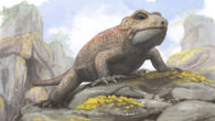 Life reconstruction of Threordatoth chasmatos. Image credit: Mark Witton.