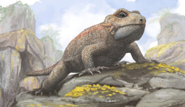 Life reconstruction of Threordatoth chasmatos. Image credit: Mark Witton.
