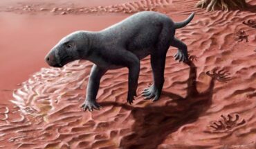 Life reconstruction of the gorgonopsian from Mallorca in a floodplain setting. Image credit: Henry Sutherland Sharpe.