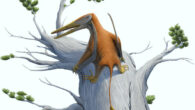 Life reconstruction of Melkamter pateko. Image credit: Pedro Andrade.