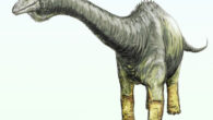 An artist’s impression of Haplocanthosaurus delfsi. Image credit: Michael B. H. / CC BY-SA 3.0.