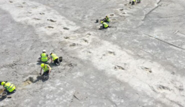 Tracks of carnivorous and herbivorous dinosaurs at Dewars Farm Quarry in Oxfordshire, the United Kingdom. Image credit: University of Birmingham.