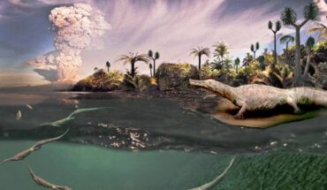 Mesosaurs are small to mid-sized aquatic to semiaquatic amniotes that lived in Gondwana during the Early Permian epoch. Image credit: Roman Yevseyev / Graciela Piñeiro.