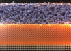 A film a few atoms thick of non-crystalline niobium phosphide conducts better through the surface to make the material, as a whole, a better conductor. Image credit: Il-Kwon Oh / Asir Khan.