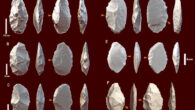 Handaxes made on side-struck flakes (a-c) and Kombewa flakes (d-f) from Melka Wakena, Ethiopia. Image credit: Tegenu Gossa & Erella Hovers, doi: 10.1007/s12520-024-02072-8.