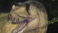 Life reconstruction of Tameryraptor markgrafi. Image credit: Joschua Knüppe.