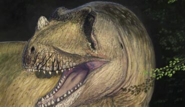 Life reconstruction of Tameryraptor markgrafi. Image credit: Joschua Knüppe.