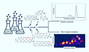Labrys portucalensis F11 can be potentially used for PFAS biodegradation in contaminated environments. Image credit: Wijayahena et al., doi: 10.1016/j.scitotenv.2024.178348.