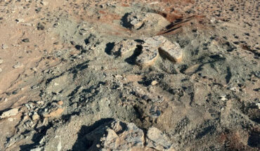 The footprints of a massive hadrosaurid dinosaur in the western Gobi Desert, Mongolia. Image credit: Okayama University of Science.