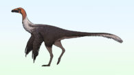Life reconstruction of Mexidracon longimanus. Image credit: Ddinodan / CC BY 4.0.