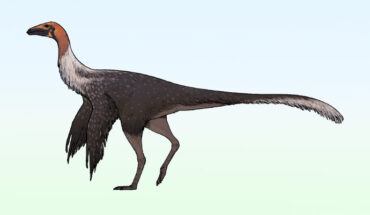 Life reconstruction of Mexidracon longimanus. Image credit: Ddinodan / CC BY 4.0.