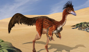 Life reconstruction of an individual of Bonapartenykus from the locality of Salitral Ojo de Agua of the Allen Formation, Patagonia, Argentina. Image credit: Abel G. Montes.