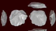The engraved cortical Levallois core from Manot Cave. Image credit: E. Ostrovsky / M. Smelansky / E. Paixão / L. Schunk.