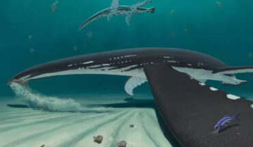 Life reconstruction of the Jurassic plesiosaur from the Posidonia Shale of southern Germany. Image credit: Joschua Knüppe.
