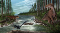 The landscape of Cretaceous Australia. Image credit: Jonathan Metzger / Museums Victoria.