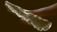 The 1.5-million-year-old elephant humerus that has been knapped into a tool. Image credit: CSIC.