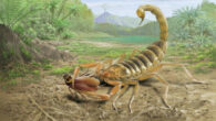 Jeholia longchengi is the first Mesozoic scorpion from China. Image credit: Jie Sun / Xuan et al., doi: 10.1016/j.scib.2025.01.035.