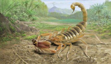 Jeholia longchengi is the first Mesozoic scorpion from China. Image credit: Jie Sun / Xuan et al., doi: 10.1016/j.scib.2025.01.035.