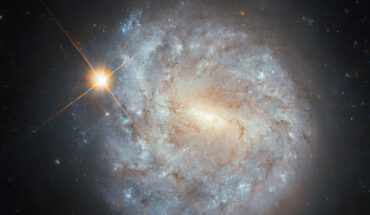 This Hubble image shows NGC 4900, a spiral galaxy approximately 45 million light-years away in the constellation of Virgo. Image credit: NASA / ESA / Hubble / S.J. Smartt / C. Kilpatrick.