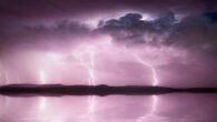 Lightning starts with a positive fast discharge, followed by an even faster and more extensive negative discharge observed in 3D; signal polarizations slant from the discharge propagation direction and rotate between the two opposite fast discharges; these features can only be due to a cosmic-ray shower that preconditioned the discharge path and guided the discharge current direction. Image credit: ELG21.