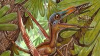 An artist’s impression of Darwinopterus camposi. Image credit: Maurilio Oliveira / Institute of Vertebrate Paleontology and Paleoanthropology, Chinese Academy of Sciences.