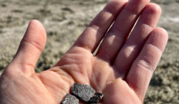 100-million-year-old dinosaur eggshell fragments from the Mussentuchit Member of the Cedar Mountain Formation. Image credit: Lake Forest College.