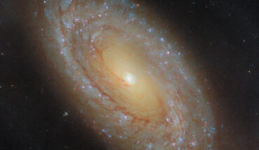 This Hubble image shows NGC 4941, a spiral galaxy some 67 million light-years away in the constellation of Virgo. The color image is composed of near-infrared, optical and ultraviolet observations from Hubble’s Wide Field Camera 3 (WFC3). Six filters were used to sample various wavelengths. The color results from assigning different hues to each monochromatic image associated with an individual filter. Image credit: NASA / ESA / Hubble / D. Thilker.