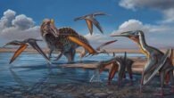 Garudapterus buffetauti. Image credit: DinoThaiThai / Manitkoon et al. doi: 10.1016/j.cretres.2025.106135.