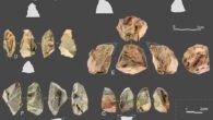 Products of the Quina system at the Longtan site, China. Image credit: Ruan et al., doi: 10.1073/pnas.2418029122.
