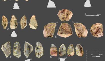Products of the Quina system at the Longtan site, China. Image credit: Ruan et al., doi: 10.1073/pnas.2418029122.