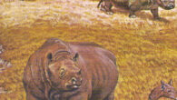 Herd of Teleoceras rhinos. Image credit: Jay Matternes / Smithsonian Museum.