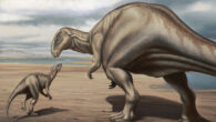 Life reconstruction of a large-sized ankylopollexian iguanodontian dinosaur interacting with a juvenile in the Late Jurassic of Europe. Image credit: Vitor Carvalho.