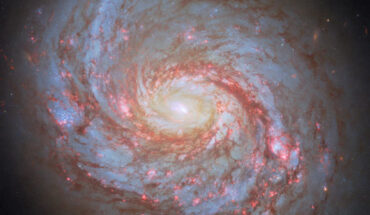 This Hubble image shows Messier 77, a barred spiral galaxy some 62 million light-years away in the constellation of Cetus. The color image was made from separate exposures taken in the ultraviolet, visible and near-infrared regions of the spectrum with Hubble’s Advanced Camera for Surveys (ACS) and Wide Field Camera 3 (WFC3) instruments. It is based on data obtained through six filters. The color results from assigning different hues to each monochromatic image associated with an individual filter. Image credit: NASA / ESA / Hubble / L.C. Ho / D. Thilker.