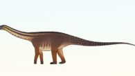 Life reconstruction of Cienciargentina sanchezi. Image credit: Connor Ashbridge / CC BY 4.0.