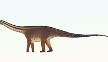 Life reconstruction of Cienciargentina sanchezi. Image credit: Connor Ashbridge / CC BY 4.0.