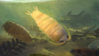 Paleoenvironmental habitat reconstruction for Dysopodus gezei (foreground): a Barremian freshwater lake in the region of present-day Bkassine, Lebanon. Image credit: Aldrich Hezekiah.