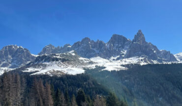 Study location in the Dolomite Mountains in Italy. Image credit: Monica Gagliano / Southern Cross University.