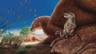 Life reconstruction of Ravjaa ishiii (foreground), depicted on the foot of the hadrosaurid dinosaur Gobihadros. Image credit: Kohei Futaka.