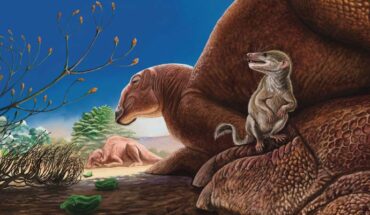 Life reconstruction of Ravjaa ishiii (foreground), depicted on the foot of the hadrosaurid dinosaur Gobihadros. Image credit: Kohei Futaka.